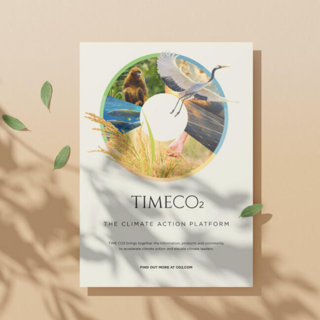 TIMECO2 Sibling Ad