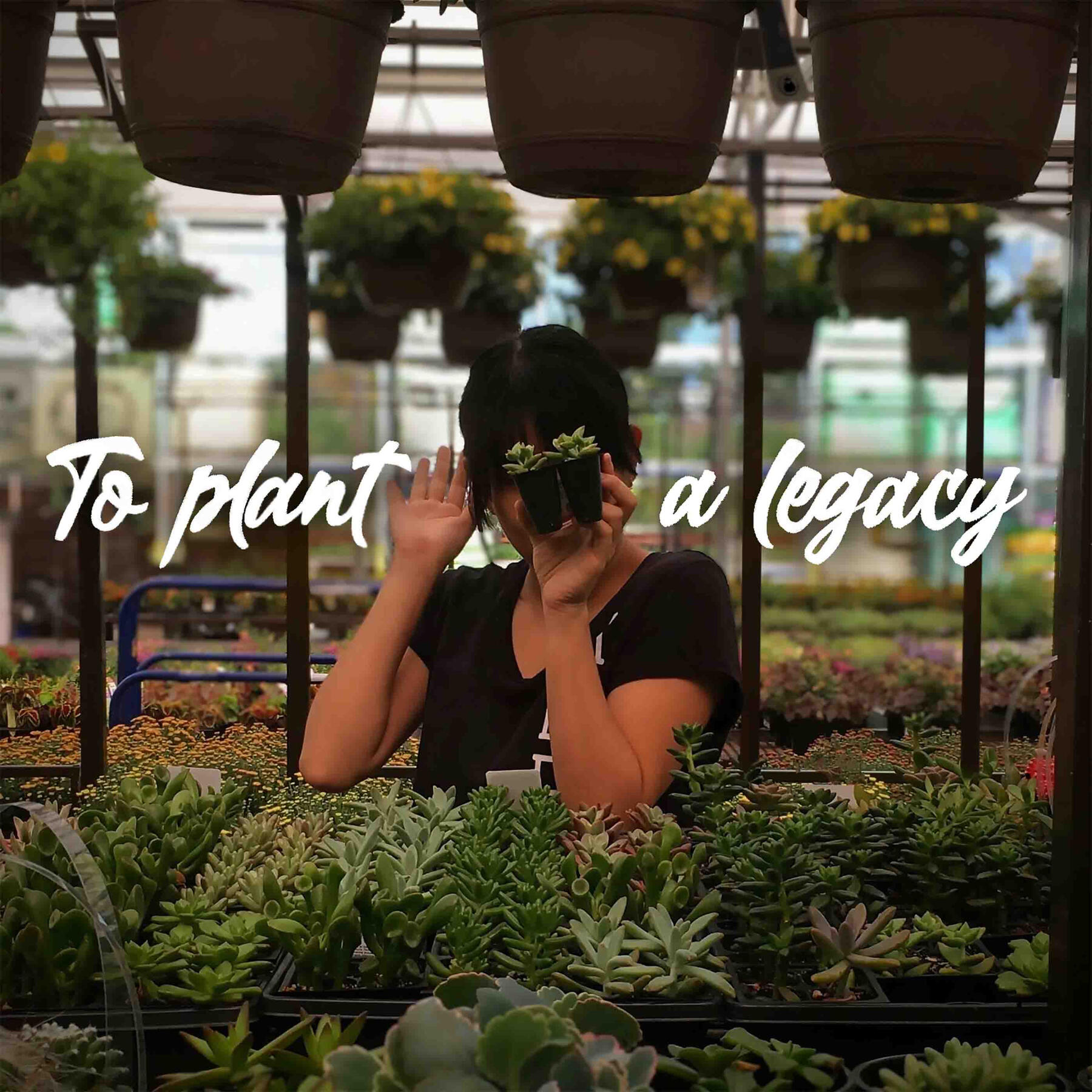 Why Do You Do What You Do?